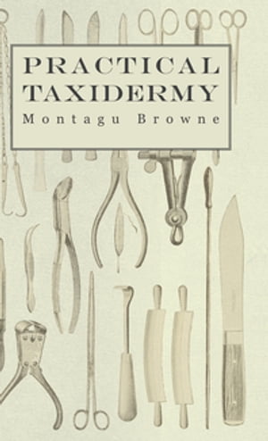 Practical Taxidermy - A Manual of Instruction to the Amateur in Collecting, Preserving, and Setting up Natural History Specimens of All Kinds. To Which is Added a Chapter Upon the Pictorial Arrangement of Museums【電子書籍】 Montagu Browne