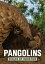 Pangolins ? Scales of InjusticeŻҽҡ[ Richard Peirce ]