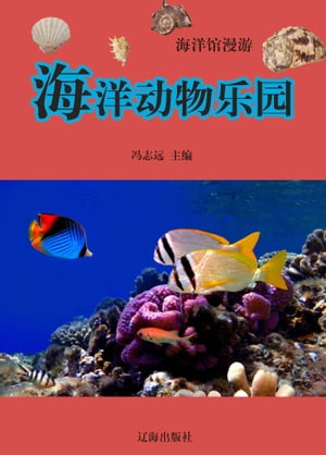 海洋馆漫游ーー海洋动物乐园