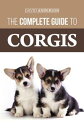 The Complete Guide to Corgis Everything to know about both the Pembroke Welsh an...