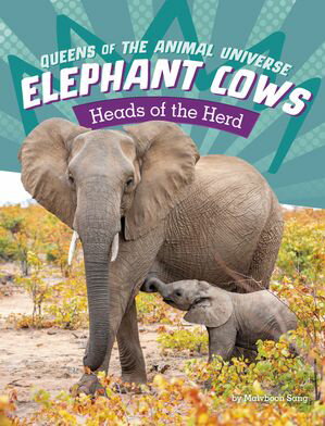 Elephant Cows Heads of the HerdŻҽҡ[ Maivboon Sang ]