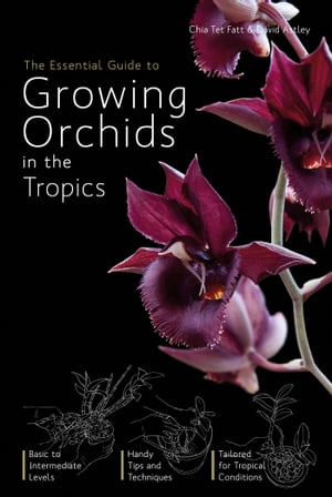 The Essential Guide to Growing Orchids