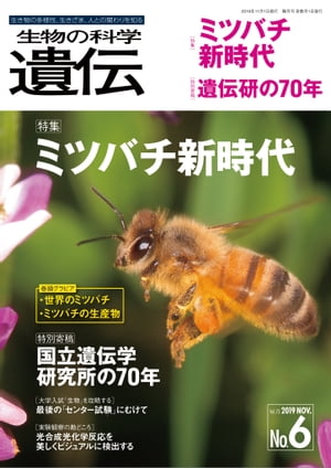 生物の科学 遺伝 2019年11月発行号 Vol.73 No.6