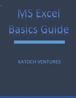 MS Excel Basics Guide