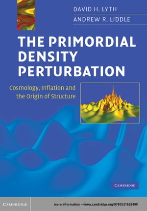 The Primordial Density Perturbation