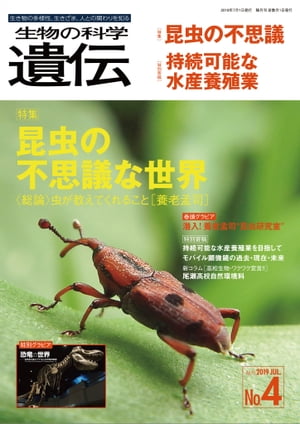 生物の科学 遺伝 2019年7月発行号 Vol.73 No.4