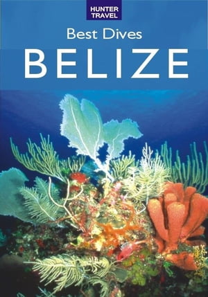 Best Dives of Belize