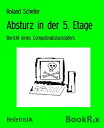 Absturz in der 5. Etage Bericht eines Computerabsturzopfers【電子書籍】 Roland Scheller