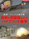 西側の同盟揺るがす「ハイブリッド戦争」（週刊ダイヤモンド特集BOOKS　Vol.379） 欧州・ロシアの新冷戦