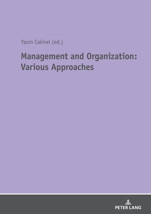 Management and Organization: Various Approaches