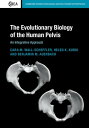 The Evolutionary Biology of the Human Pelvis An Integrative Approach