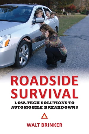 Roadside Survival