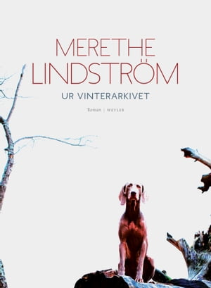 Ur vinterarkivetŻҽҡ[ Merethe Lindstr?m ]