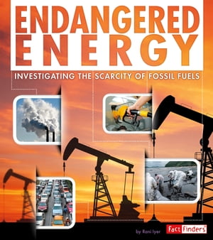 Endangered Energy Investigating the Scarcity of Fossil Fuels