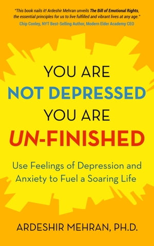 You Are Not Depressed. You Are Un-Finished. Use Feelings of Depression and Anxiety to Fuel a Soaring Life.Żҽҡ[ Ardeshir Mehran ]