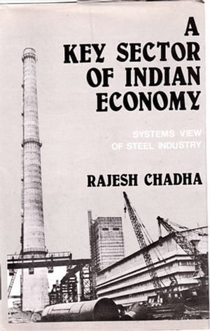 A Key Sector of Indian Economy: Systems View of 