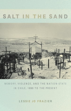 Salt in the Sand Memory, Violence, and the Nation-State in Chile, 1890 to the Pr...
