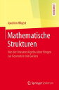 Mathematische Strukturen Von der linearen Algebra ?ber Ringen zur Geometrie mit Garben