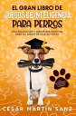 EL GRAN LIBRO DE JUEGOS DE INTELIGENCIA PARA PERROS Una educacion y disciplina positiva para su amigo de cuatro patas - incl. entrenamiento en casa para cachorros