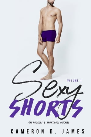 Sexy Shorts: Gay Hookups and Anonymous Quickies: