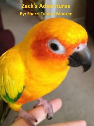 ŷKoboŻҽҥȥ㤨Zack's AdventuresŻҽҡ[ Sherri Moorer ]פβǤʤ150ߤˤʤޤ