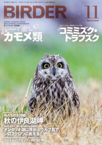 BIRDER2017年11月号【電子書籍】[ BIRDER編集部 ]