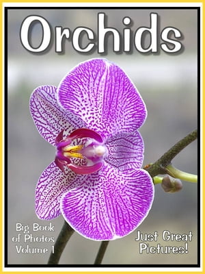 Just Orchid Photos! Big Book of Photographs & Pictures of Orchids, Vol. 1