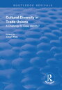 Cultural Diversity in Trade Unions: A Challenge to Class Identity? A Challenge to Class Identity?【電子書籍】(3)