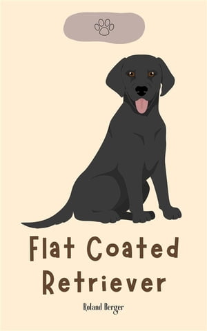 Flat Coated Retriever