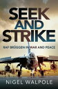 Seek and Strike RAF Br?ggen in War and Peace【