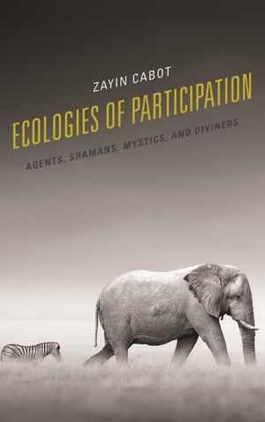 Ecologies of Participation Agents, Shamans, Mystics, and Diviners