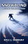 #6: Snowblindβ