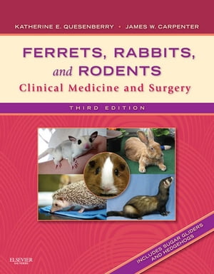 Ferrets, Rabbits and Rodents - E-Book