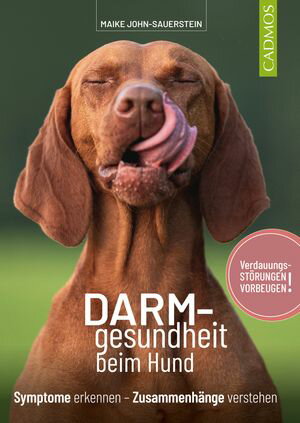 Darmgesundheit beim Hund