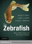 The Zebrafish