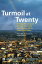 Turmoil At Twenty: Recession, Recovery And Reform In Central And Eastern Europe And The Former Soviet Union