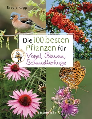 Die 100 besten Pflanzen für Vögel, Bienen, Schmetterlinge