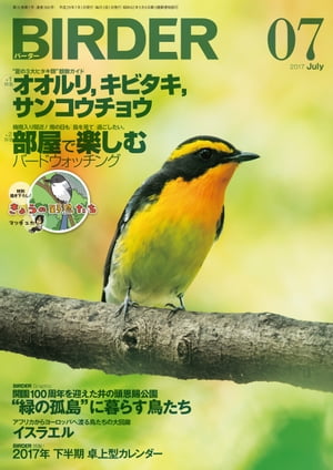 BIRDER2017年7月号