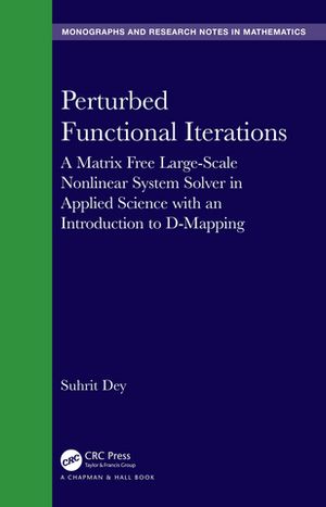 Perturbed Functional Iterations