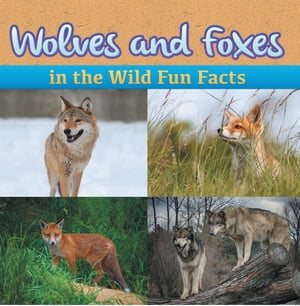 Wolves and Foxes in the Wild Fun Facts