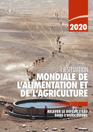La situation mondiale de l’alimentation et de l’agriculture 2020: Relever le défi de l’eau dans l’agriculture