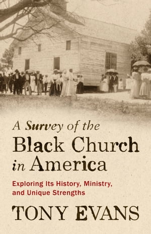 A Survey of the Black Church in America Explorin