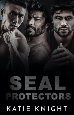 SEAL Protectors: Three Book Navy SEAL Romance Anthology SEAL Protectors