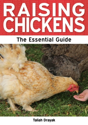 Raising Chickens: The Essential Guide