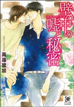 壁の中の嘘と秘密【イラスト入り】【電子書籍】[ 高遠琉加 ]のサムネイル