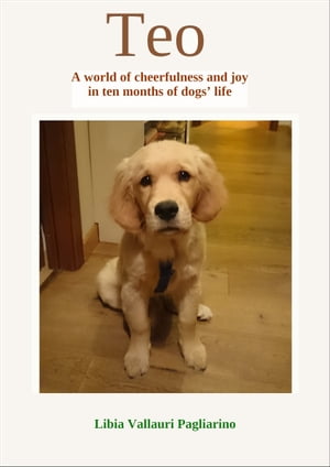 Teo. A world of cheerfulness and joy in ten months of dogs’ life