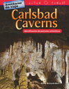Aventuras de viaje: Carlsbad Caverns: Identificaci?n de patrones aritm?ticos: Re...