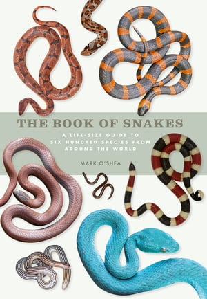 The Book of Snakes