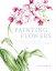 #7: Painting Flowers in Watercolourβ