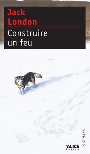 Construire un feu